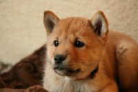 /album/kimi-a-yuki/img-0035-1-jpg1/